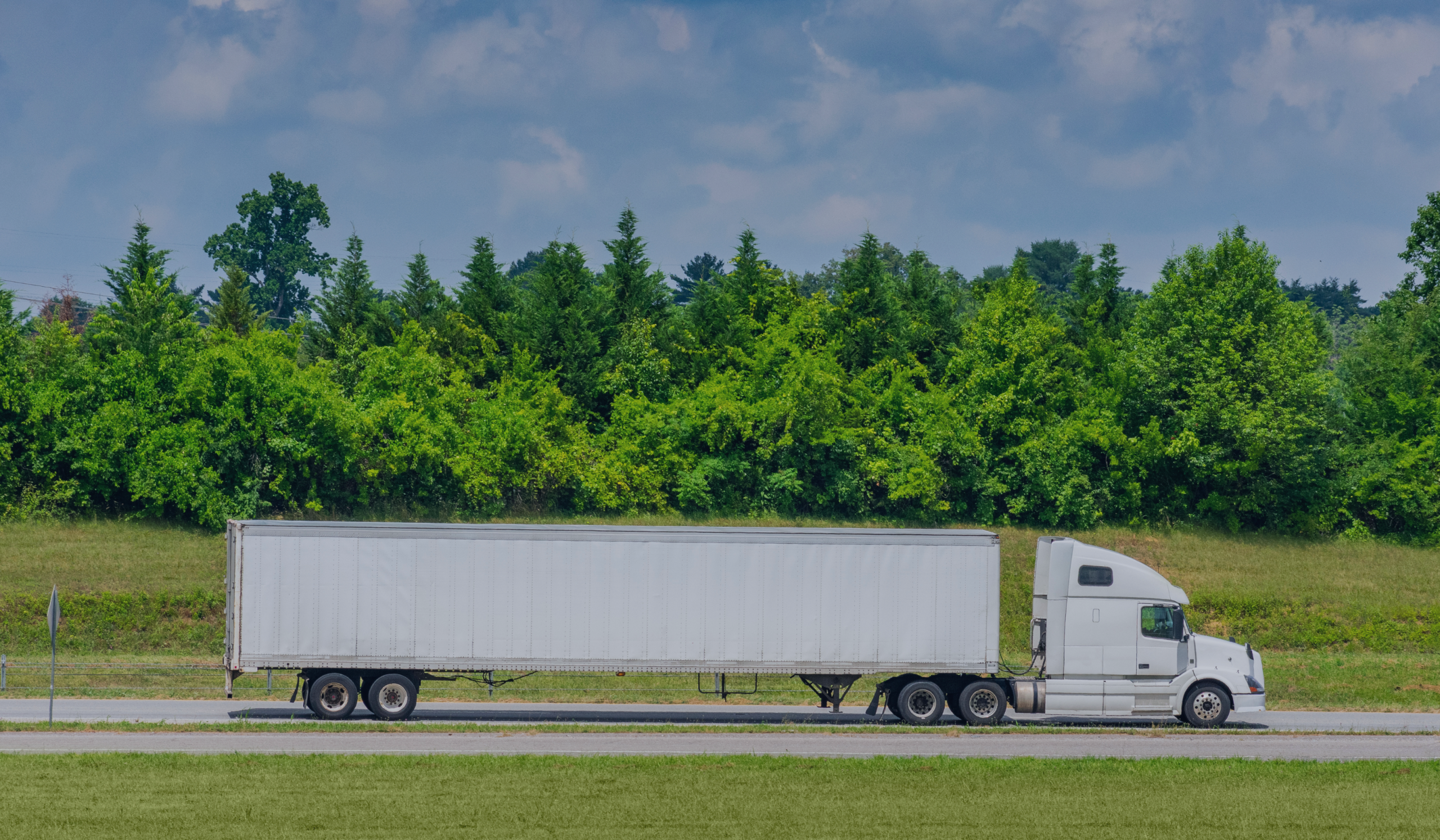 Supporting Sustainability This Earth Day