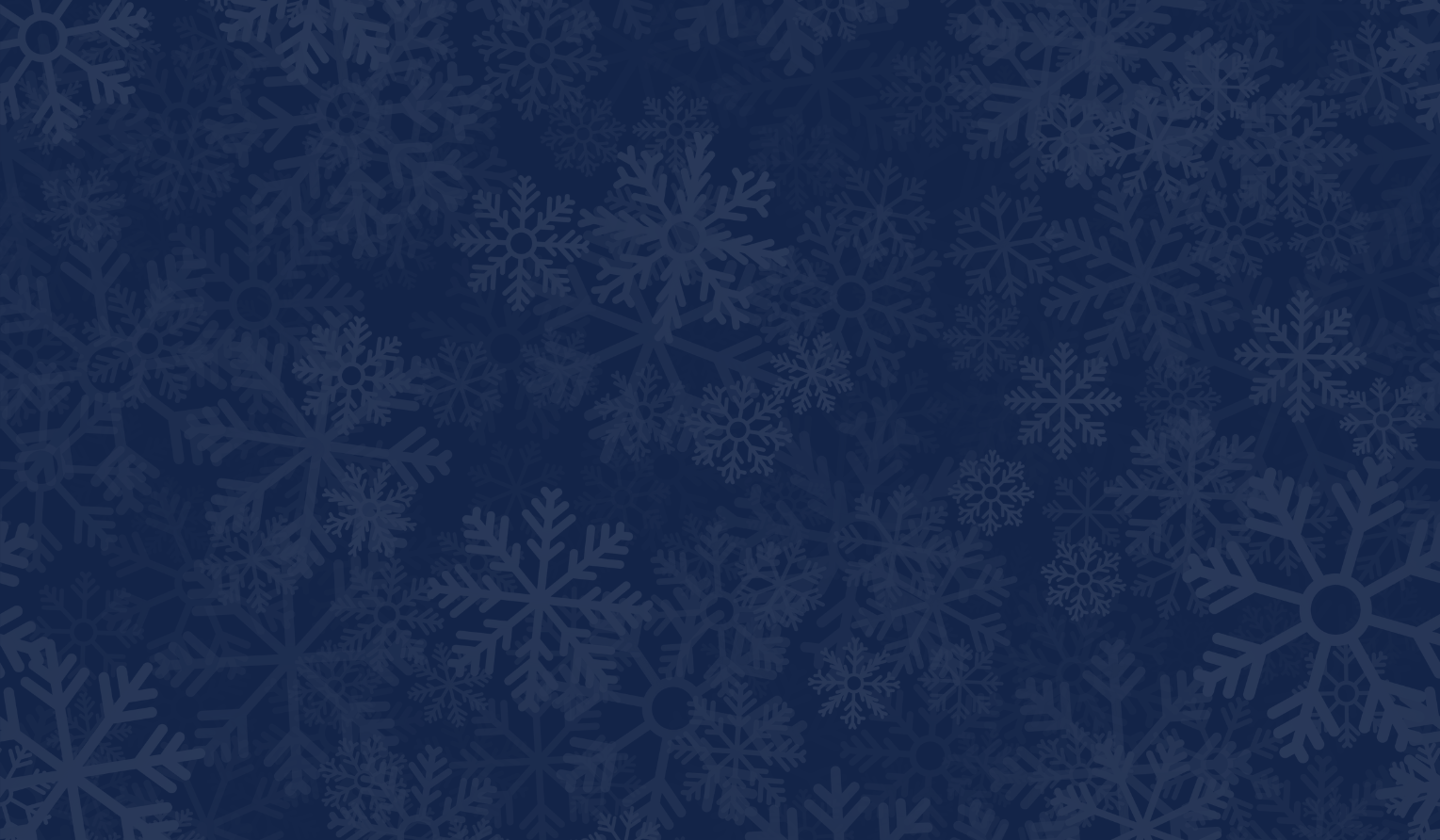 Fun Festive Facts: 2025 Edition